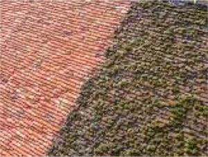 Lire la suite à propos de l’article La toiture en shingle, idéale pour une faible surface à couvrir